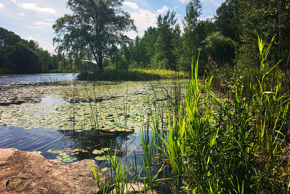 parc-angrignon-eau.JPG