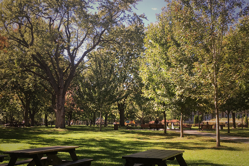 parc-laurier.jpg